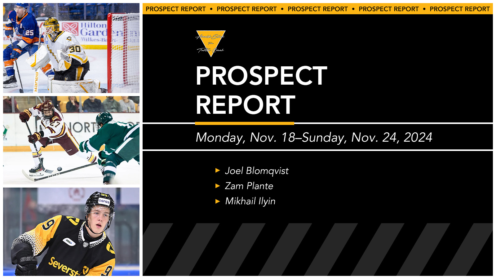 Prospect Report: November 26, 2024