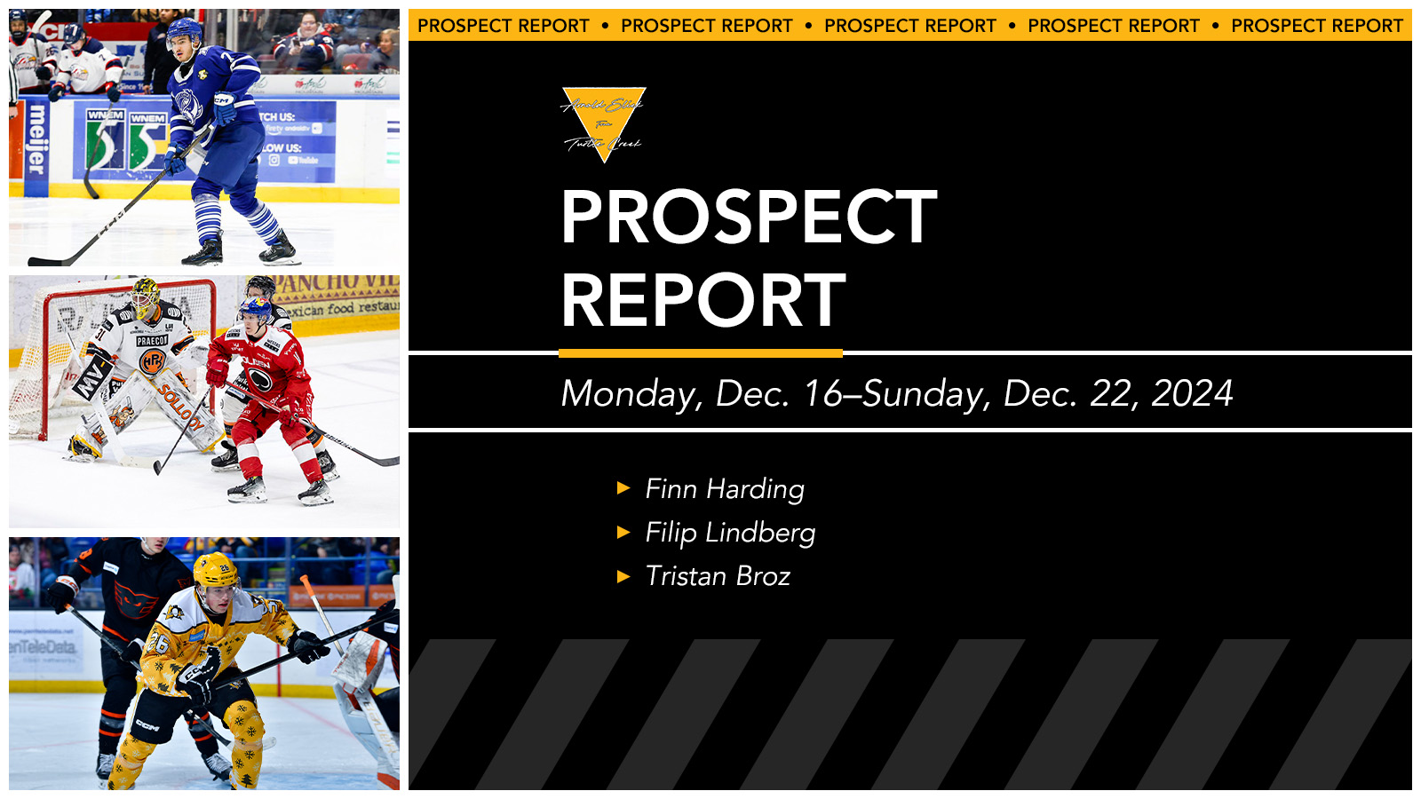 Prospect Report: December 24, 2024