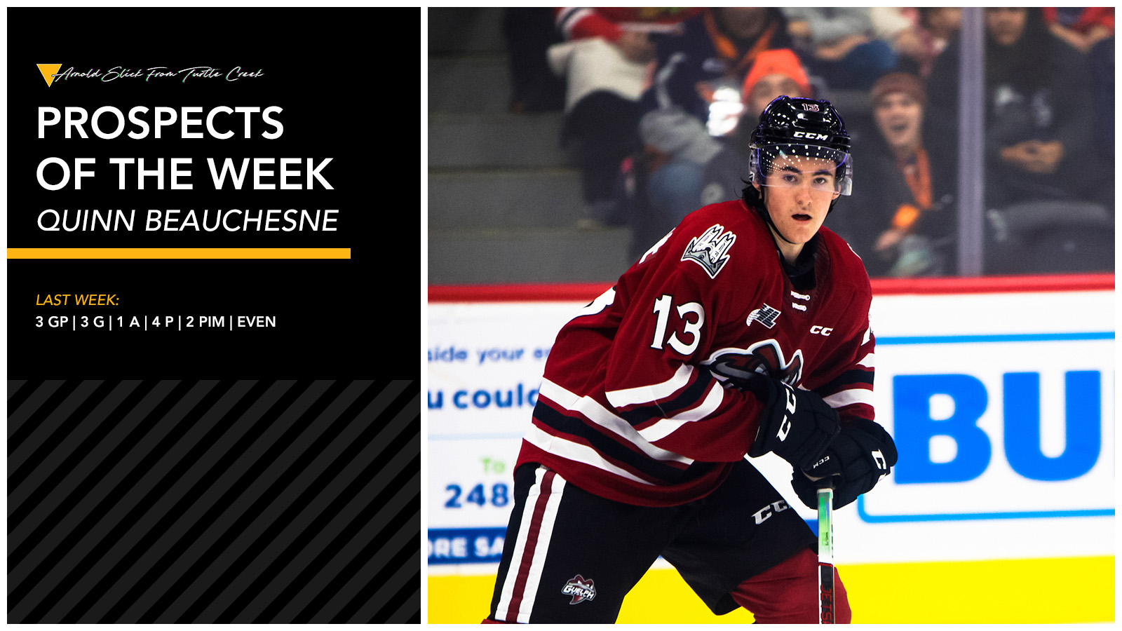 Penguins Prospect Report: Quinn Beauchesne Extends OHL Goal-Scoring Stream To 4 Games With Guelph Storm