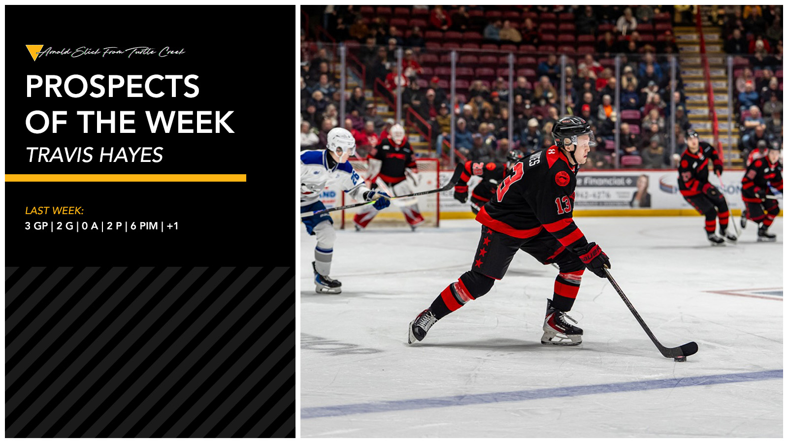 Penguins Prospect Report: Travis Hayes Scores Twice For Soo Greyhounds In OHL Last Week